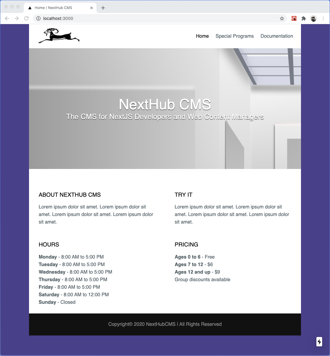 Screenshot of NextHub CMS